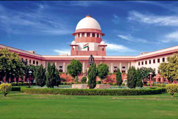 Advocate